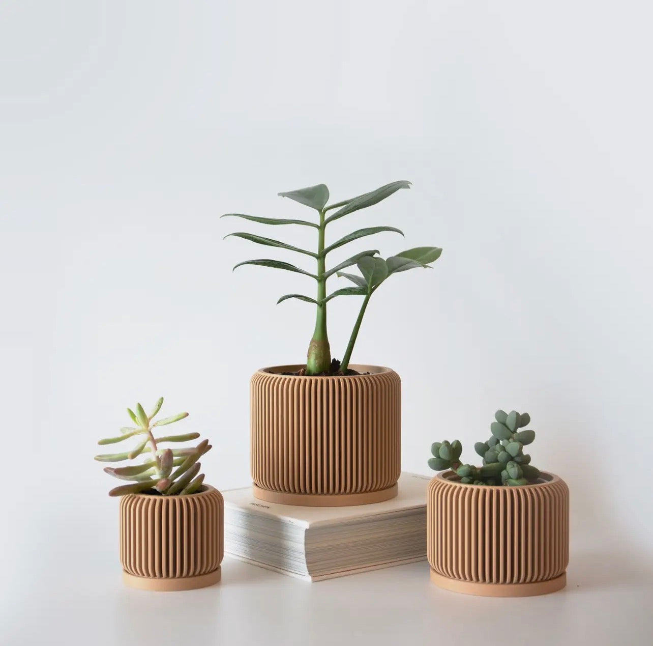 Pot (Succulent) 4 count.