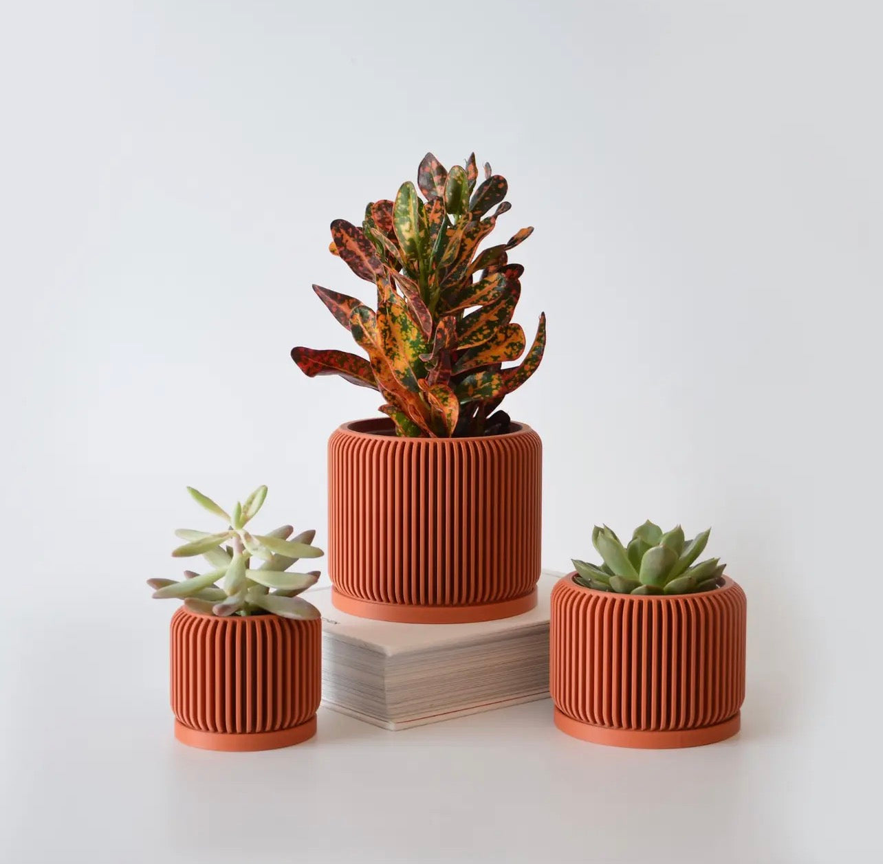 Pot (Succulent) 4 count.