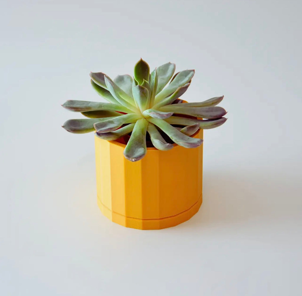 Pot (Succulent) 4 count.