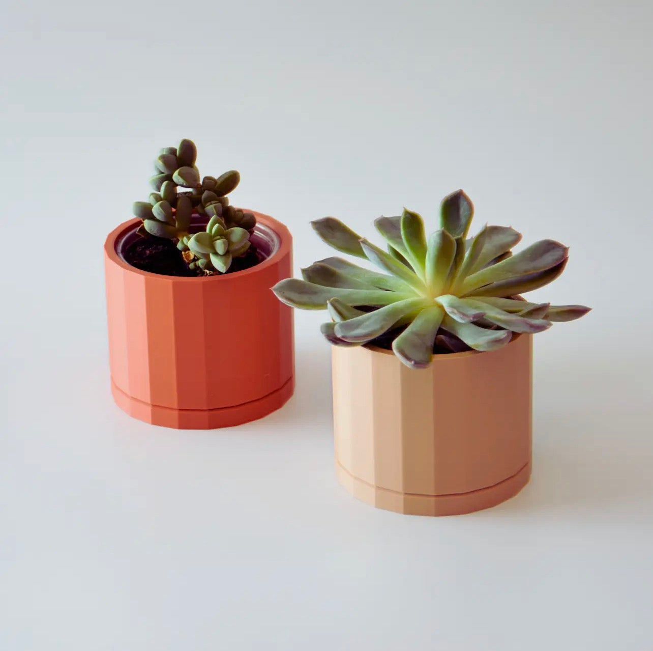 Pot (Succulent) 4 count.