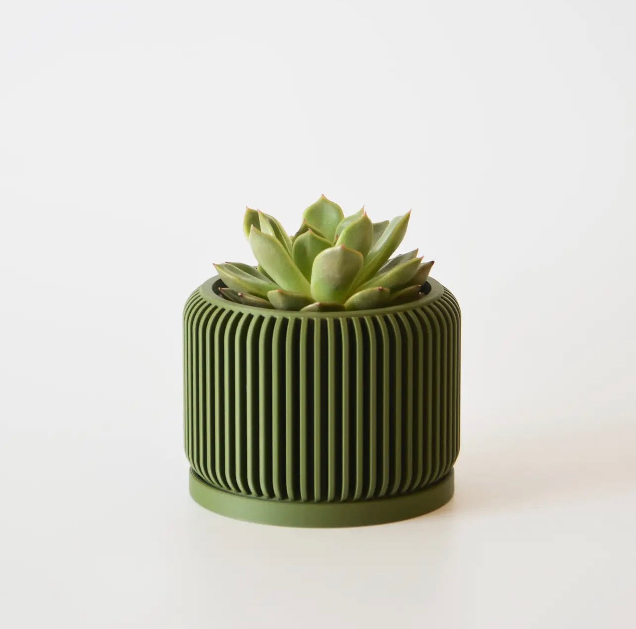 Pot (Succulent) 4 count.