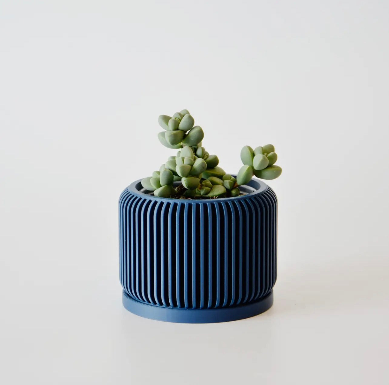 Pot (Succulent) 4 count.
